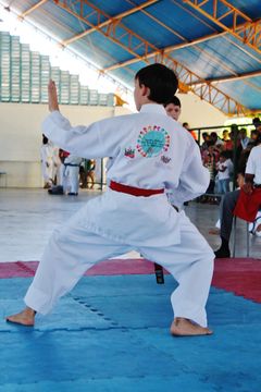 Fase do Campeonato Cearense de Karate 2014 - Foto 572