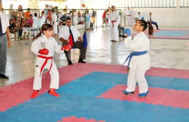 Fase do Campeonato Cearense de Karate 2014 - Foto 582