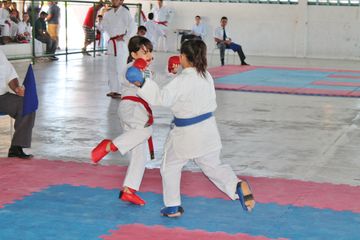 Fase do Campeonato Cearense de Karate 2014 - Foto 583