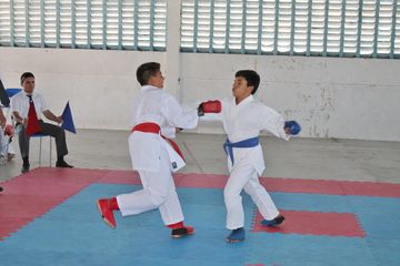 Fase do Campeonato Cearense de Karate 2014 - Foto 643