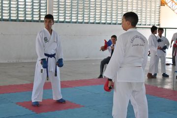 Fase do Campeonato Cearense de Karate 2014 - Foto 651