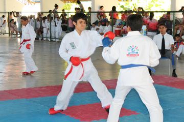 Fase do Campeonato Cearense de Karate 2014 - Foto 657