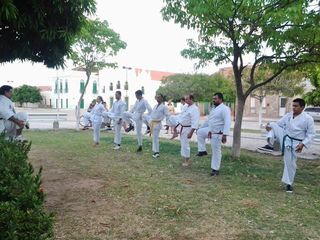 Karate no Icó - Foto 29