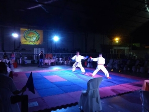 Copa Centro Sul de Karate 2016 - 2