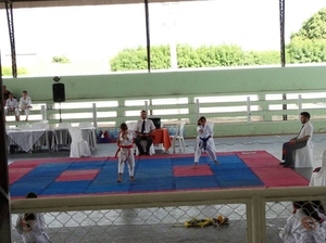 Copa Centro Sul de Karate 2016 - 3