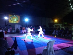 Copa Centro Sul de Karate 2016 - 35