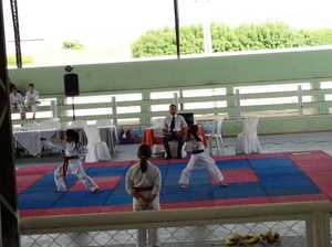 Copa Centro Sul de Karate 2016 - 37