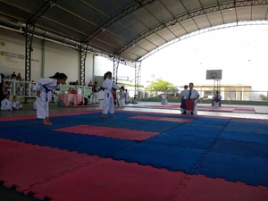 Copa Centro Sul de Karate 2016 - 71