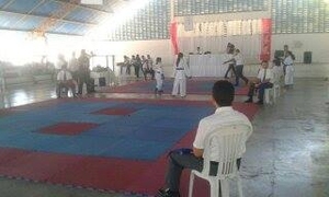 XVI Copa Jaguaribe de Karate - O Evento - 42