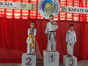 XVI Copa Jaguaribe de Karate - O Evento - 62