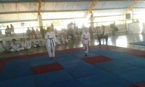 XVI Copa Jaguaribe de Karate - O Evento - 76