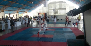 XVII Copa Jaguaribe de Karate - 4