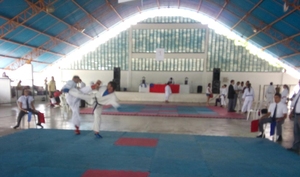 XVII Copa Jaguaribe de Karate - 5