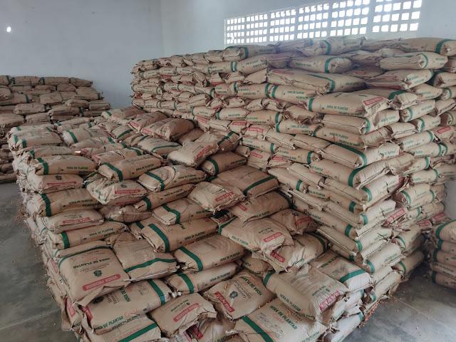 O Programa Hora de Plantar distribui sementes em Tarrafas