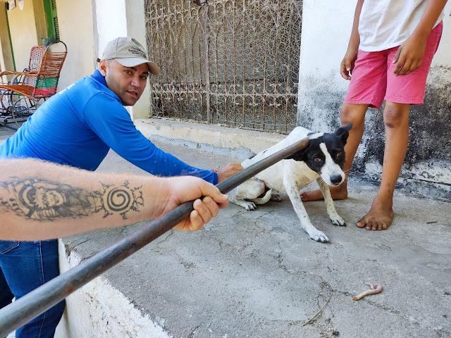 Campanha antirrábica inicia em Tarrafas