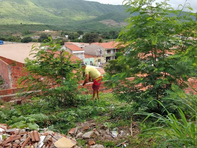e-iniciado-o-roco-dos-terrenos-baldios-na-sede-do-municipio-de-tarrafas