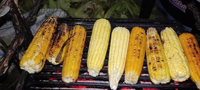 Feira da Agricultura e Baião Cultural Foi um Sucesso.