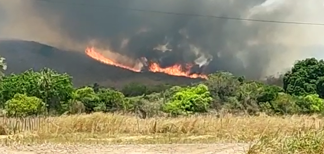 Inc&ecirc;ndio causa preju&iacute;zos e assusta popula&ccedil;&atilde;o de Tarrafas.