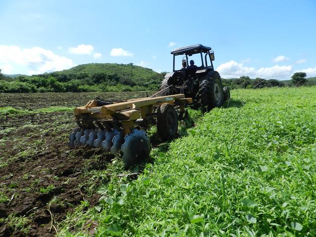 inicia a ra&ccedil;&atilde;o de teras gratuitas
