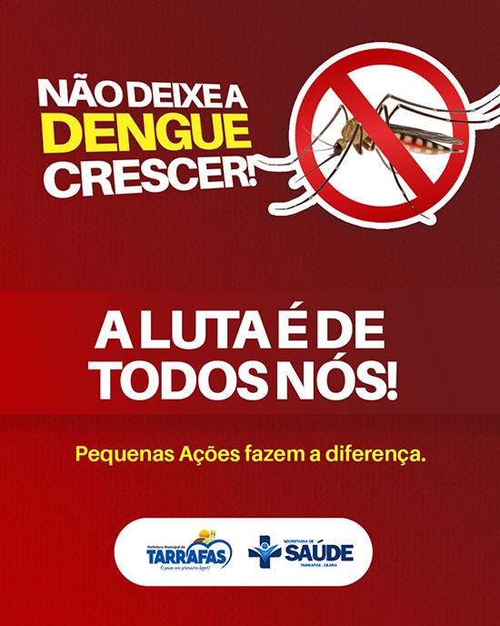 COVID-19 n&atilde;o isola o mosquito da dengue