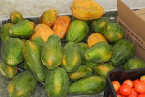 Alunos no parque de exposi&ccedil;&otilde;es